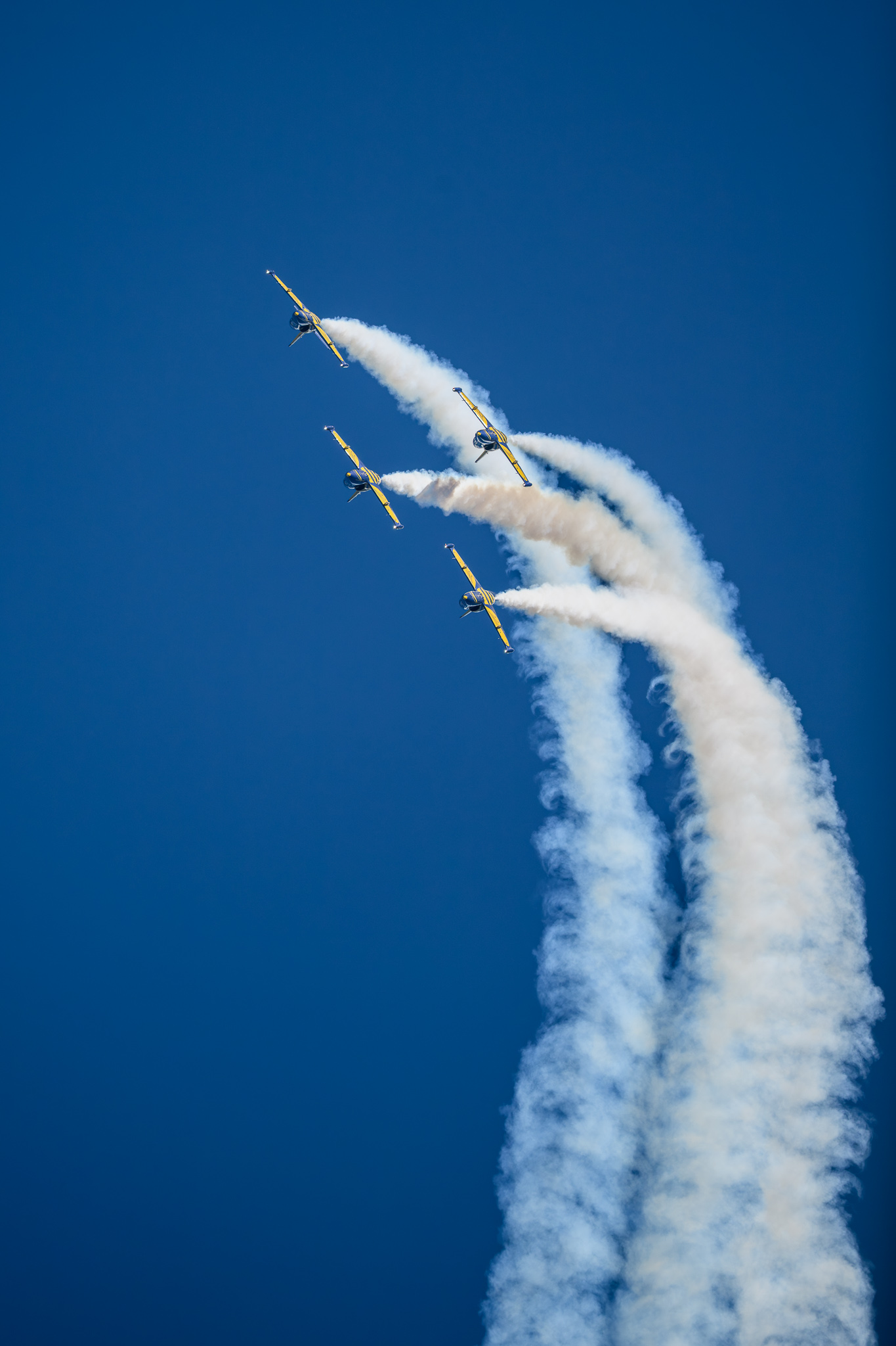 DSC_3010.jpg