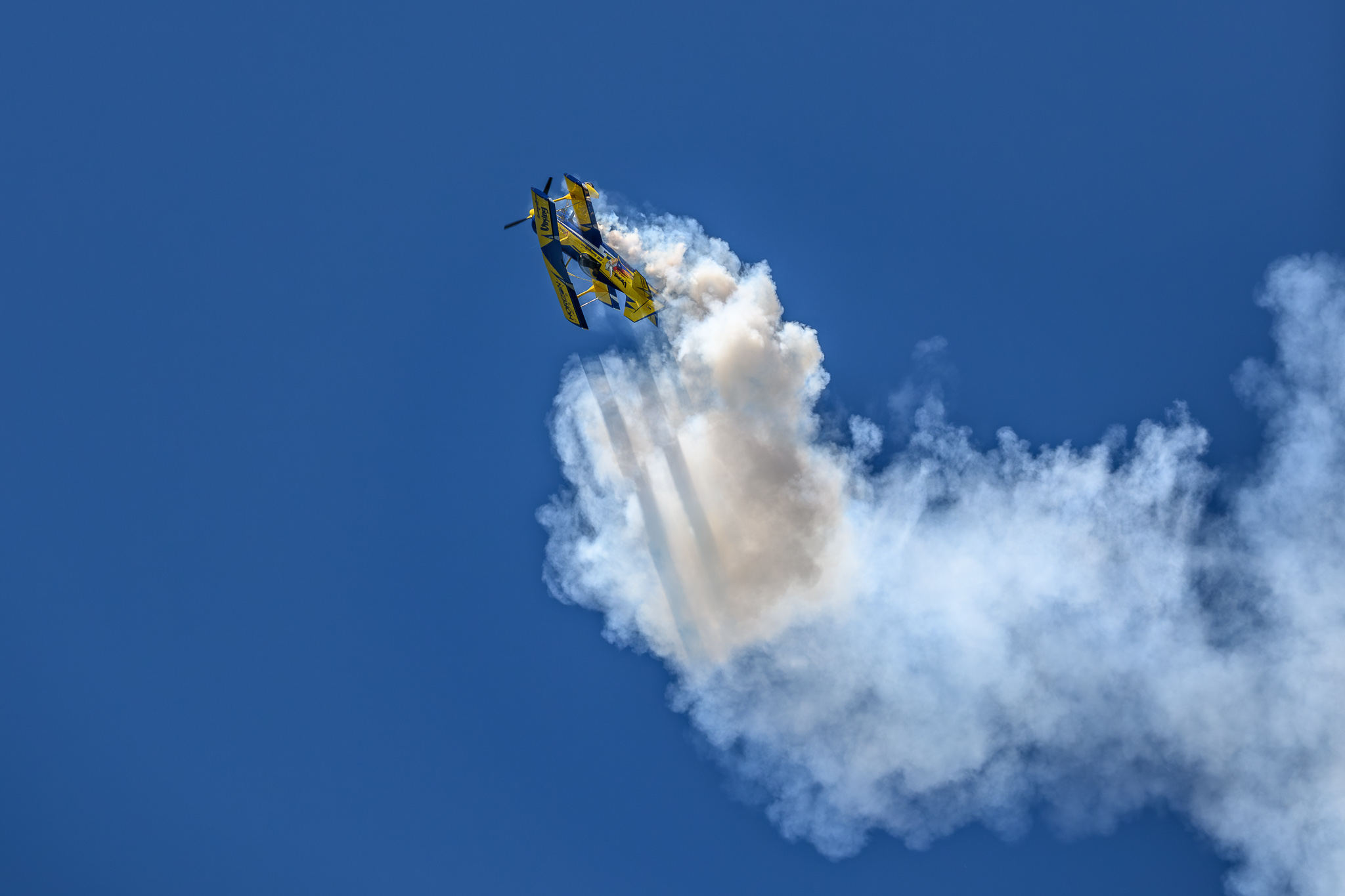 DSC_0554.jpg