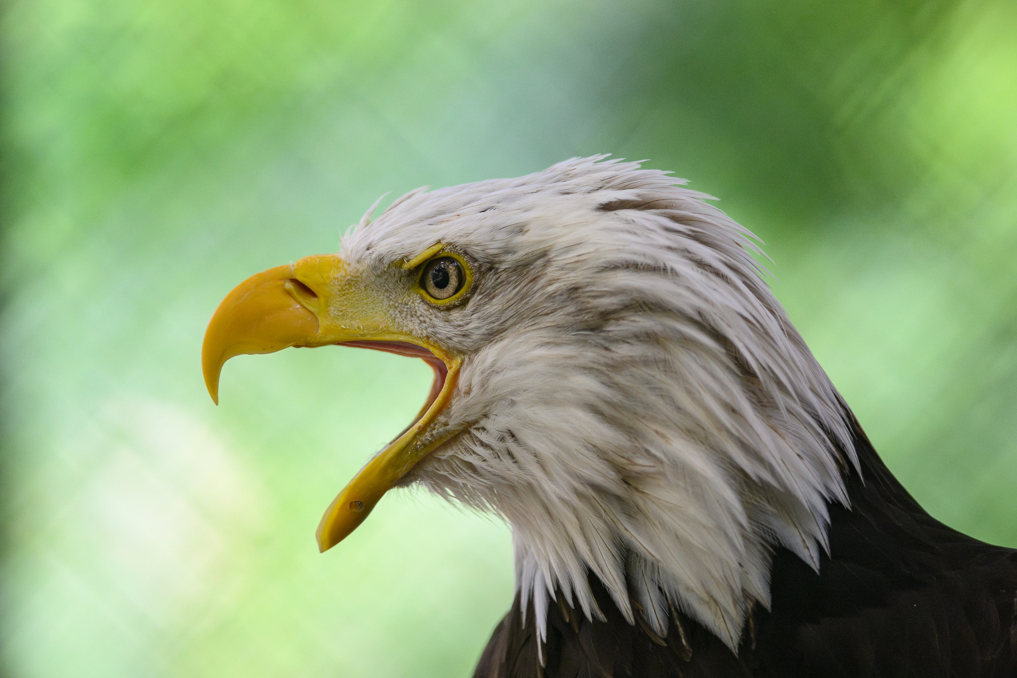 DSC_8679.jpg