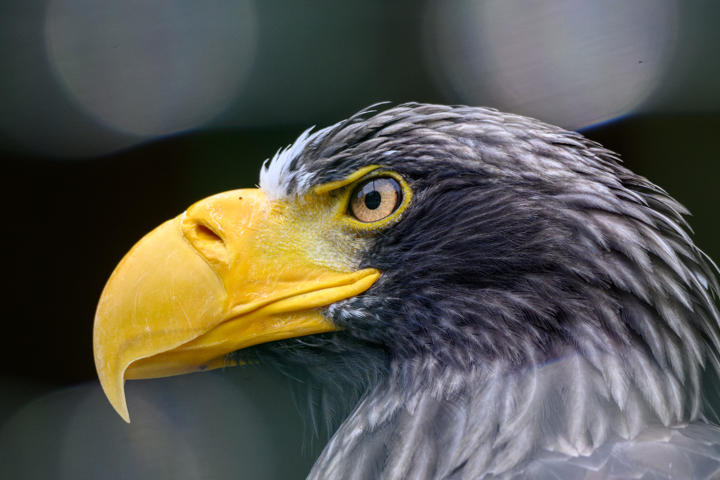 TVL_1195_NIKON Z50_2_350 mm.jpg
