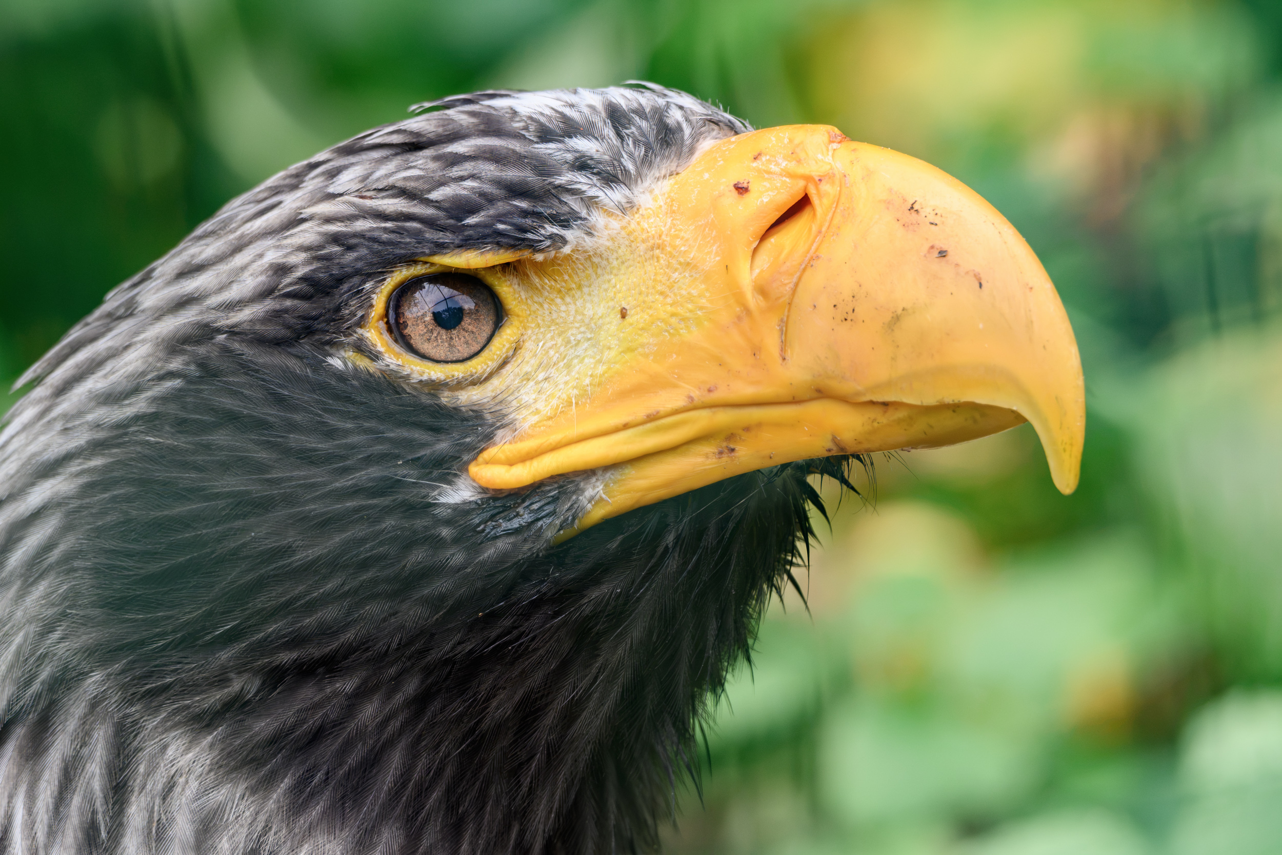 TVL_1210_NIKON Z50_2_450 mm.jpg