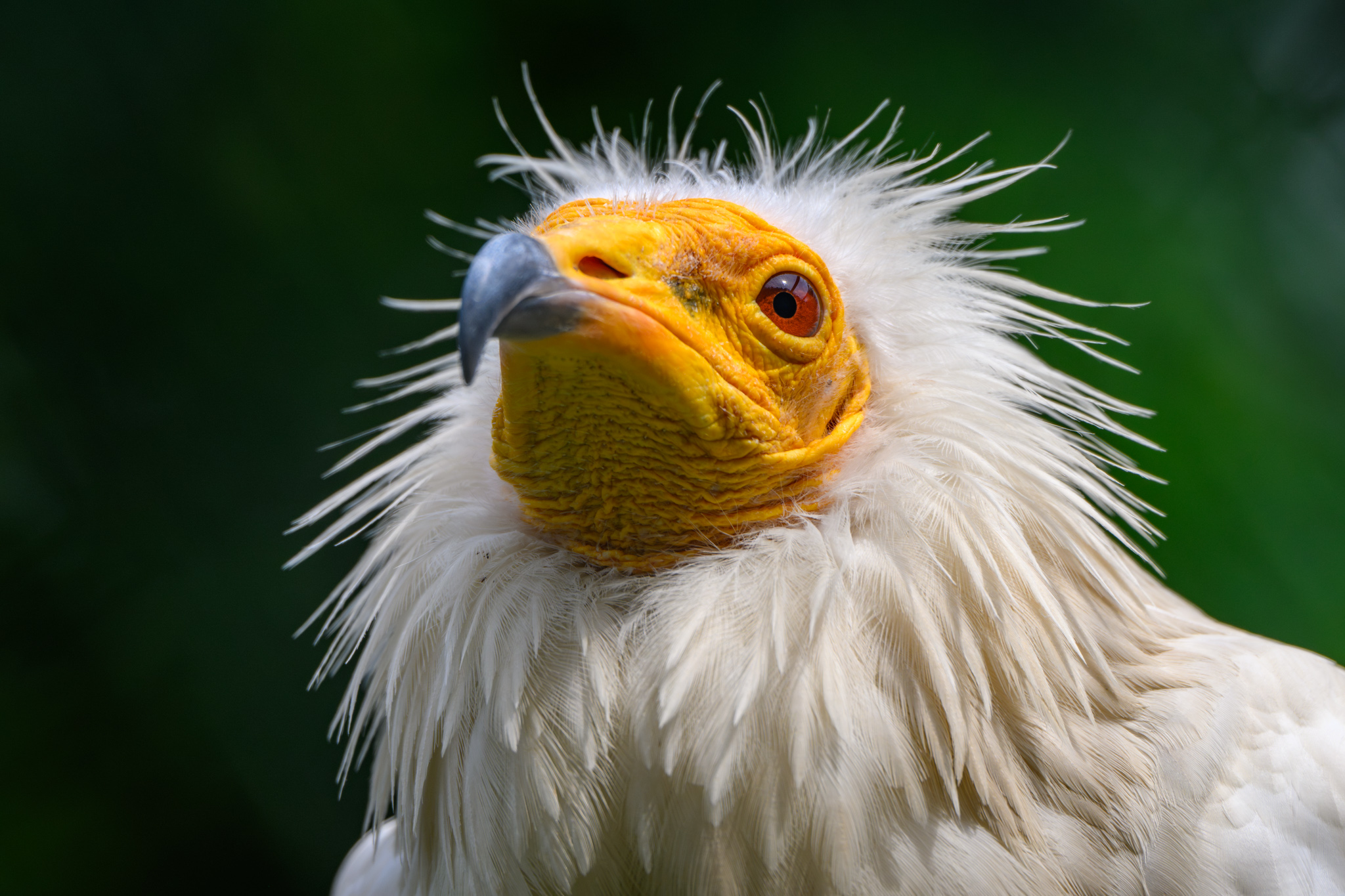 DSC_9027_NIKON Z 9_840 mm.jpg