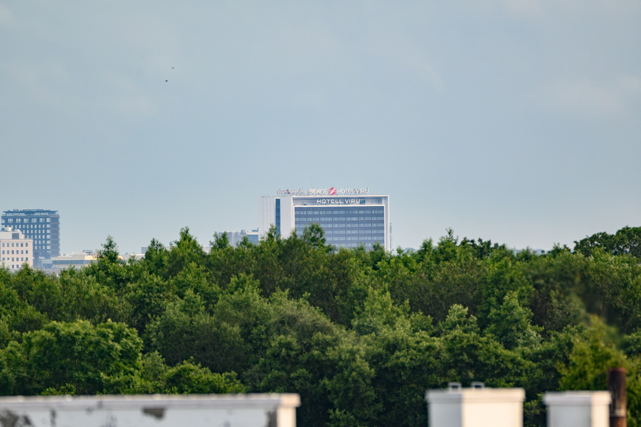 TVL_1287_NIKON Z50_2_840 mm.jpg