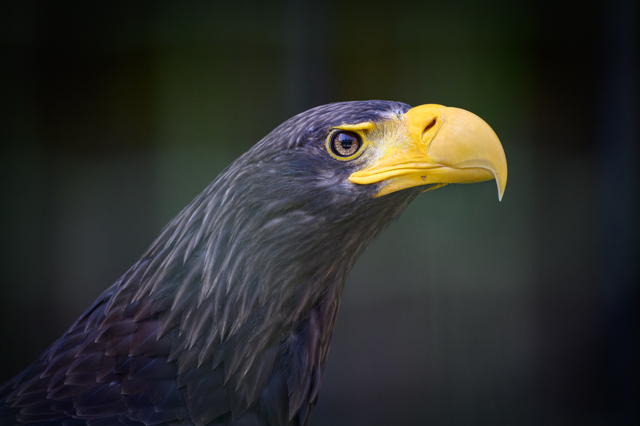 DSC_6671.jpg