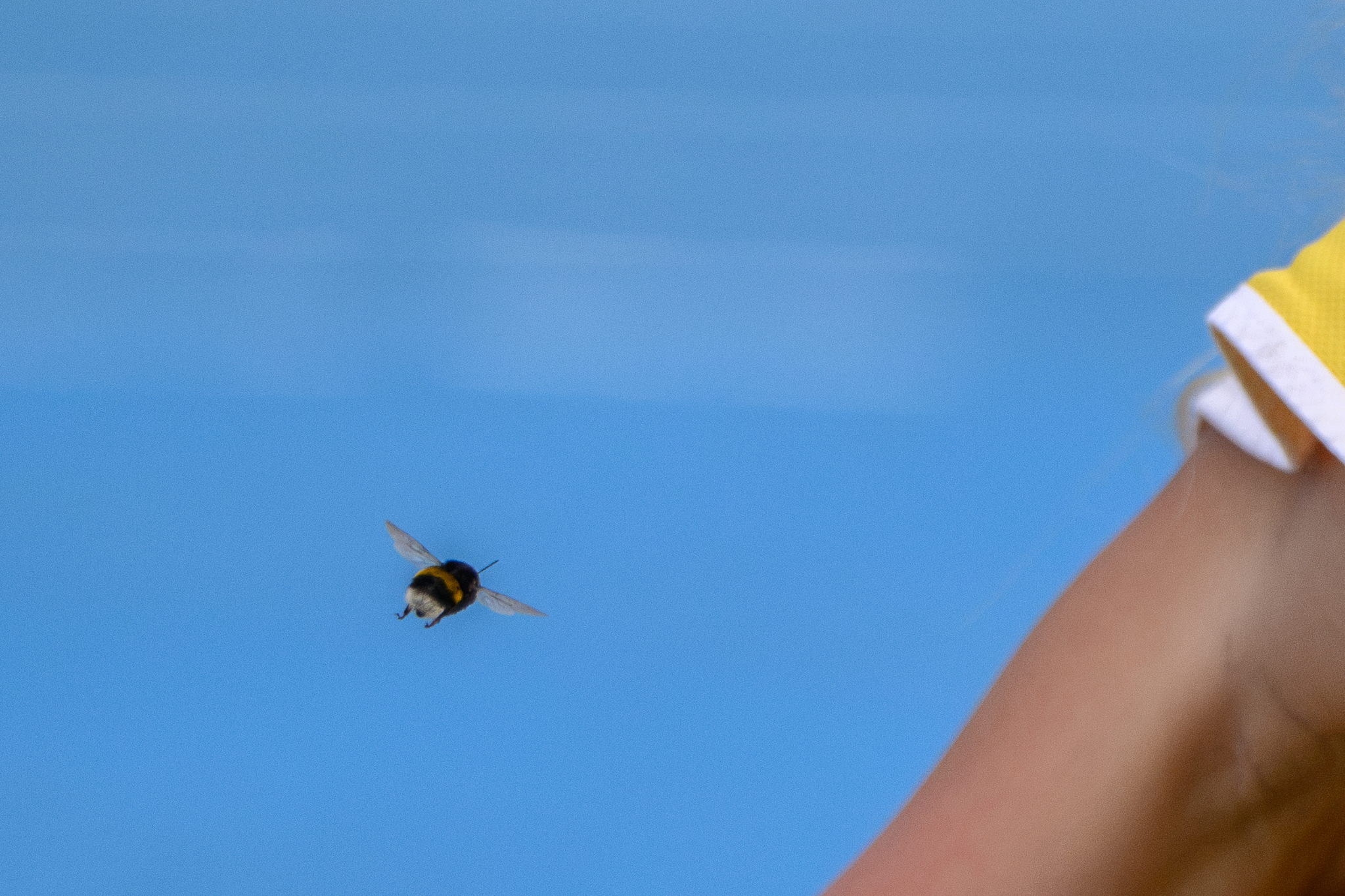 DSC_1323-2.jpg