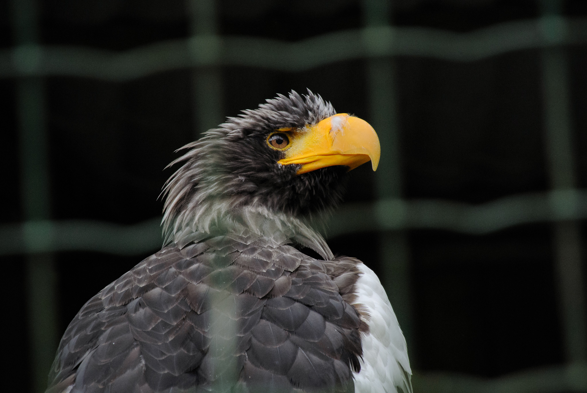DSC_5836.jpg