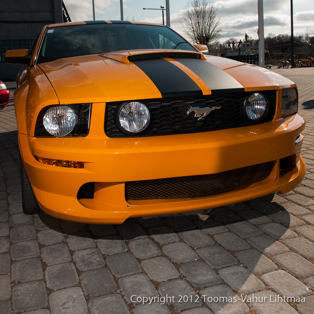 mustang_0051-Edit.jpg