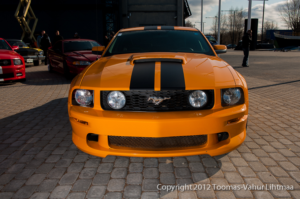 mustang_0039-Edit-Edit.jpg