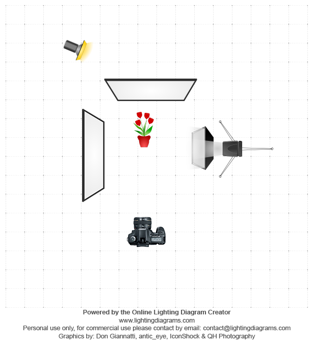 lighting-diagram-1445820624.png